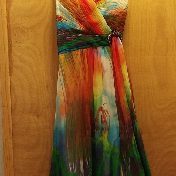 This vibrant dress is looking for it's Princess - Picture 4 of 10